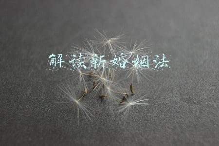 解读新婚姻法