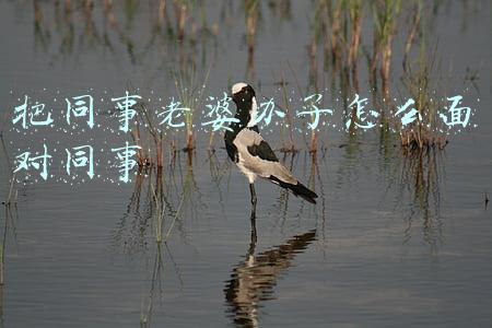 老婆跟同事关系不好怎么办(同事爱上丈夫，在公司处处与妻子作对，妻子忍无可忍直接拆穿她)