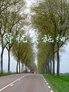 所得税实施细则