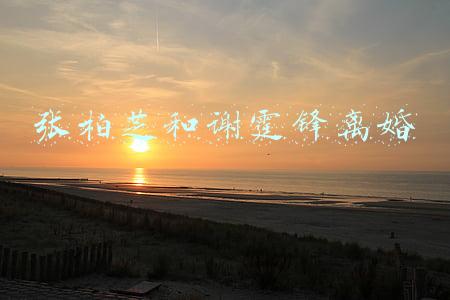 张柏芝和谢霆锋离婚