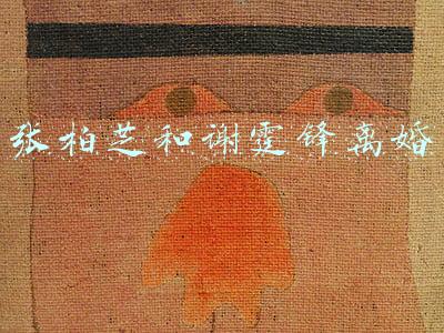 张柏芝和谢霆锋离婚