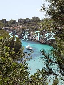 外资年检