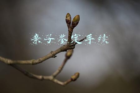 亲子鉴定手续