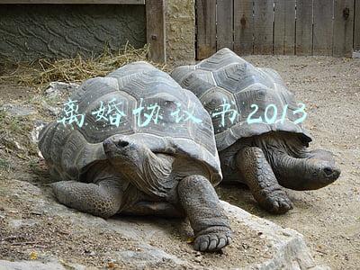 离婚协议书2013