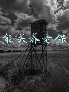 个人能买养老保险吗
