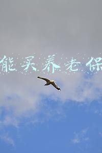 个人能买养老保险吗在哪里买(个人养老金咋参加？有啥好处？权威回应)