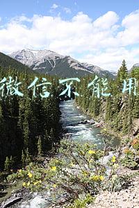 微信不能用