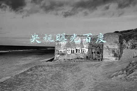 央视曝光百度