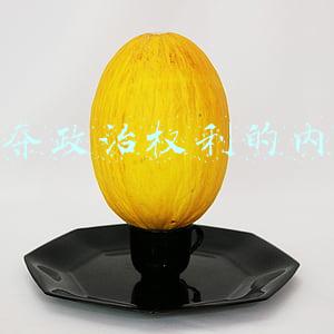 剥夺政治权利的内容