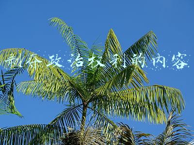 剥夺政治权利的内容包括(剥夺政治权利是剥夺哪些权利)