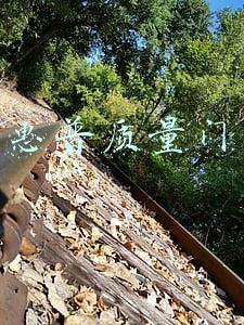 惠普质量门