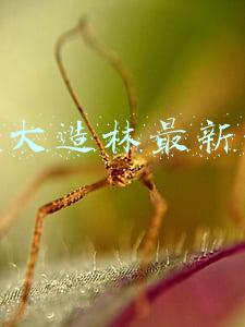 万里大造林最新消息