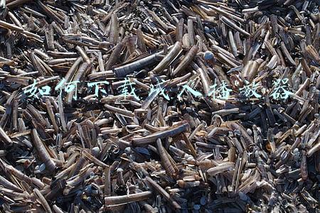 如何下载成人播放器APp(传播淫秽色情等信息，105款APP被国家网信办清理下架)