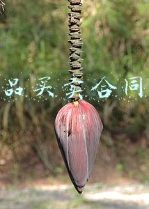 工业品买卖合同范本