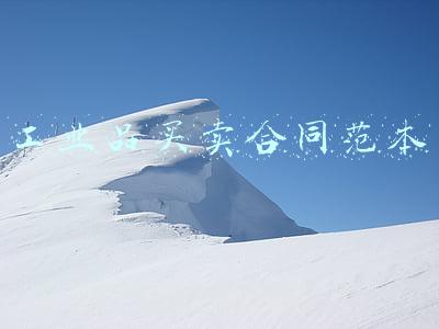工业品买卖合同范本