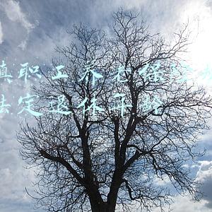 城镇职工养老保险规定的法定退休年龄