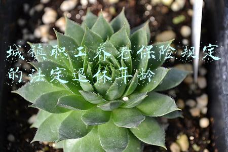 城镇职工养老保险规定的法定退休年龄