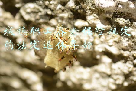 城镇居民保险退休年龄(缴过职保，也缴过居保，退休时养老金这样领→)