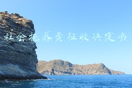 社会抚养费征收决定书