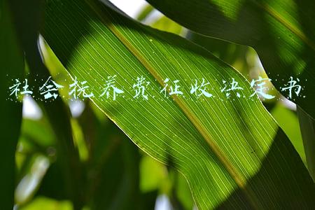 社会抚养费征收决定书