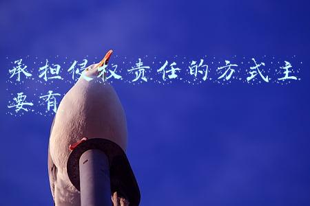 承担侵权责任的方式主要有