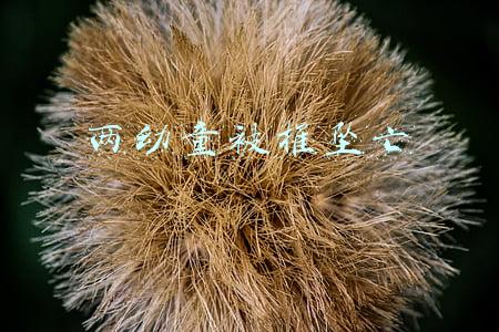 两幼童被推坠亡