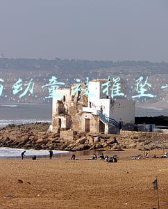 两幼童被推坠亡