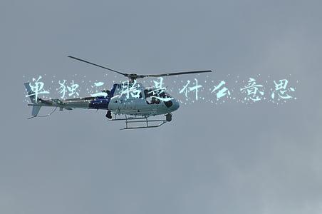 单独二胎是什么意思