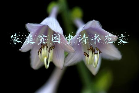 家庭贫困申请书范文