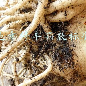 违章停车罚款标准