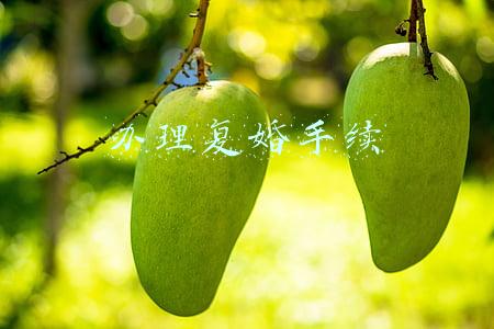 办理复婚手续没带户口簿原件(办理复婚需要哪些证件?)