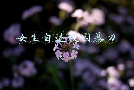 女生自述校园暴力