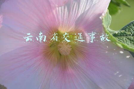 云南省交通事故