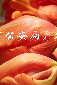 长春市公安局户政大厅
