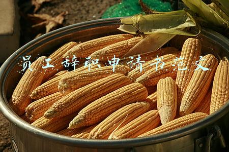 员工辞职申请书范文