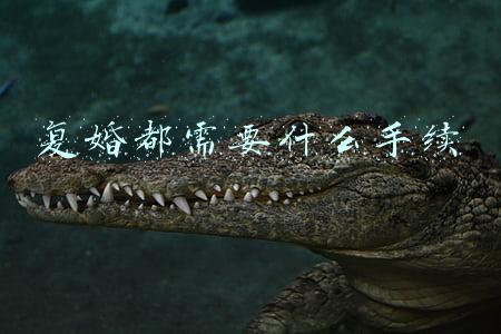 离婚复婚都需要什么手续(我国办理复婚需要什么手续)
