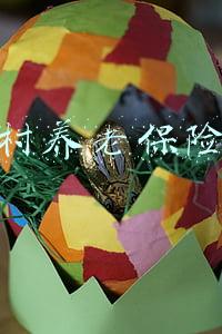 新农村养老保险制度