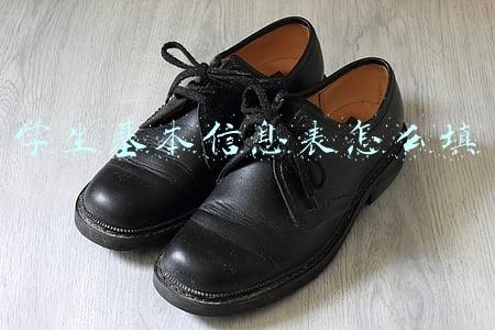 学生基本信息表怎么填