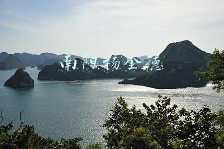 南阳杨金德