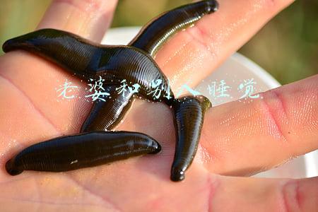 老婆和别人睡觉