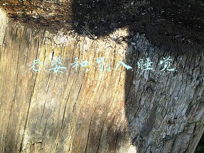 老婆和别人睡觉