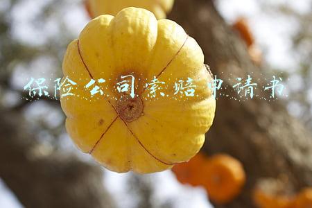 保险公司索赔申请书