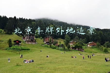 北京车牌外地违章
