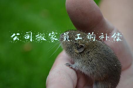 公司搬家员工的补偿