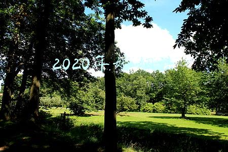 2020年婚姻法