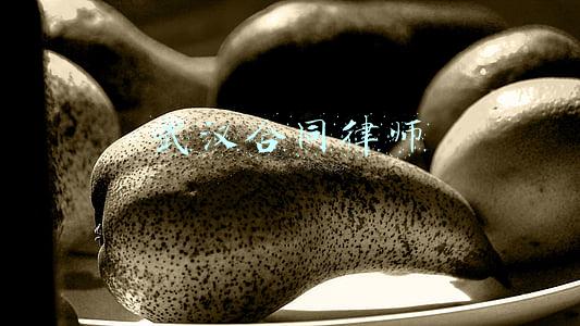 武汉合同律师