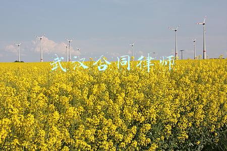 武汉合同律师