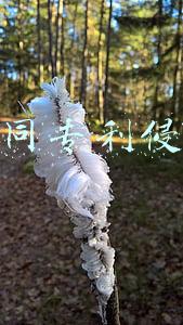 相同专利侵权