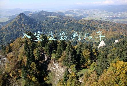 入室盗窃判几年