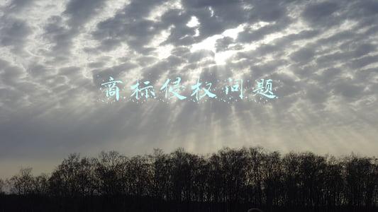 商标侵权问题